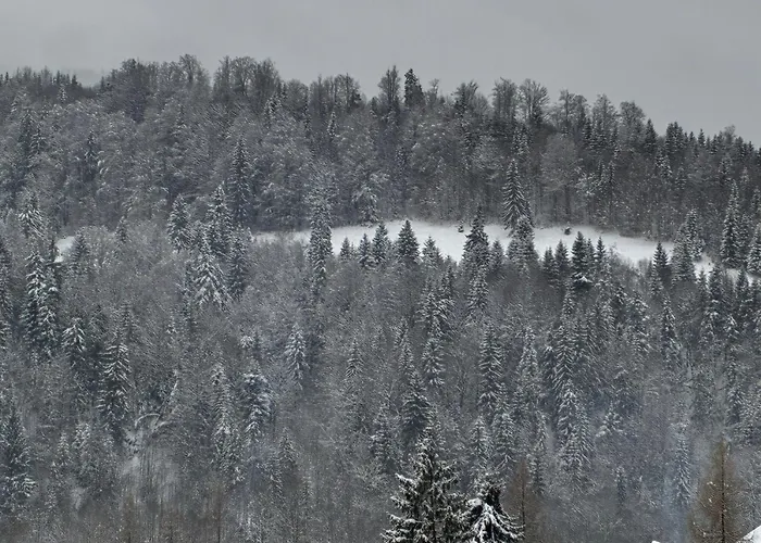 Pensiunea Maria Colibiţa